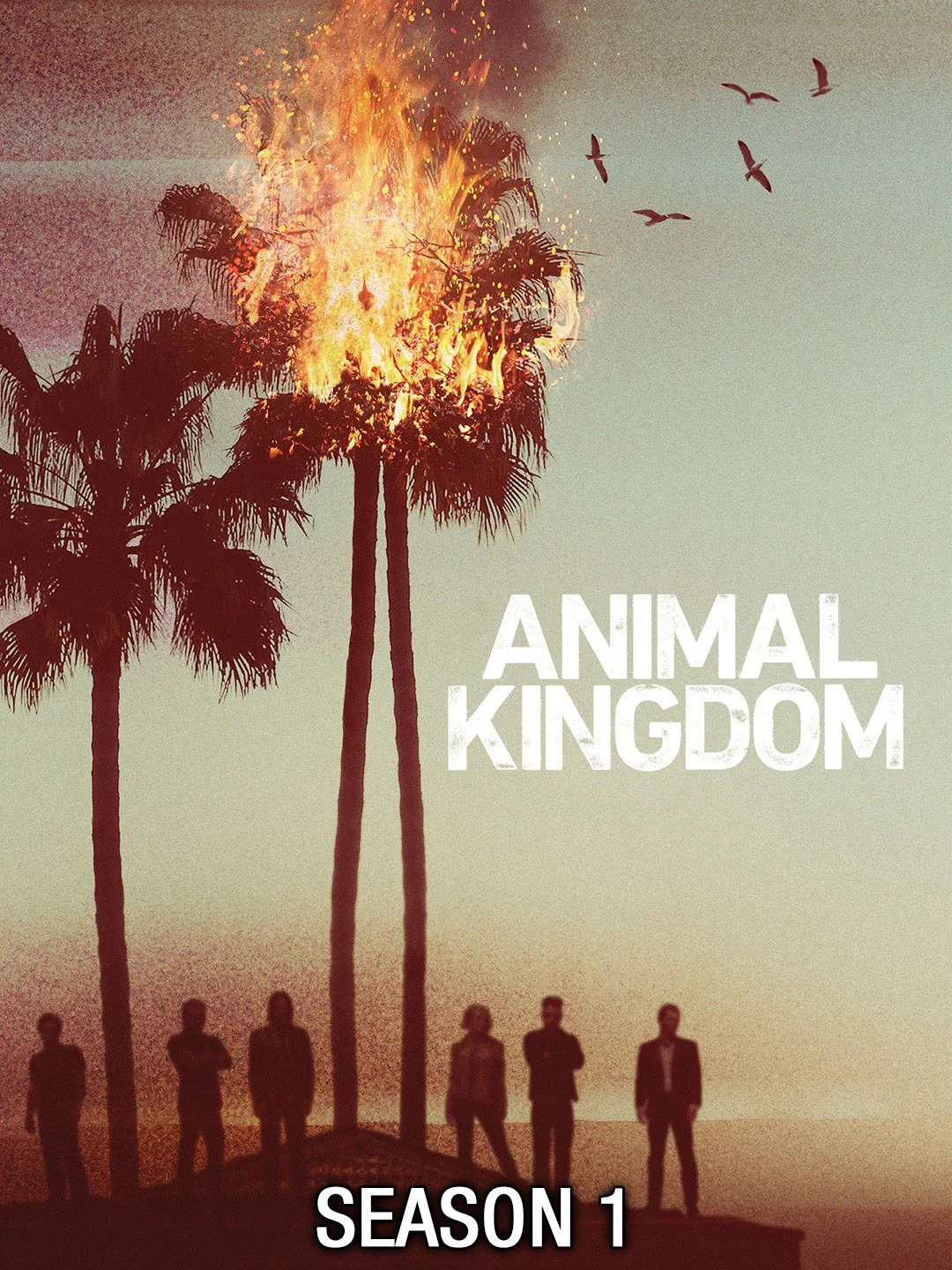 Vương quốc động vật (Phần 1) | Animal Kingdom (Season 1) (2016) Vương quốc động vật (Phần 1) | Animal Kingdom (Season 1) (2016)